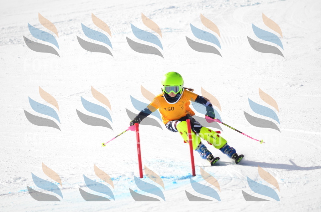 C7753 | holidayphoto