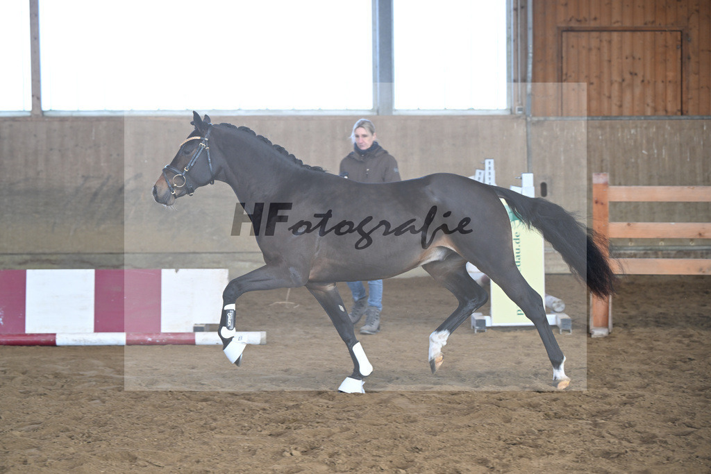 Kat-Nr. 6 Junkbrunnens Nomen est Omen v. Neverland WE_Thomas_49250169 | hf-fotografie - Realisiert mit Pictrs.com