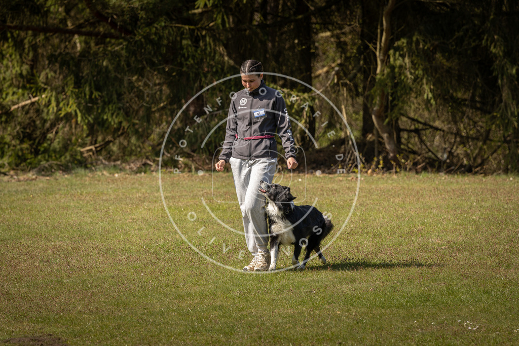 Pfotenfotografie_DV3A1028 | Hundefotografie, Tierfotograf, Pfotenfotografie, Fotoshooting Hund, Hunde Portrait, Hundesport, Hundeportraits, Heideshooting, Hunde, Sportfotograf, Hundefotograf, Turnierhundsport, THS,  - Realisiert mit Pictrs.com