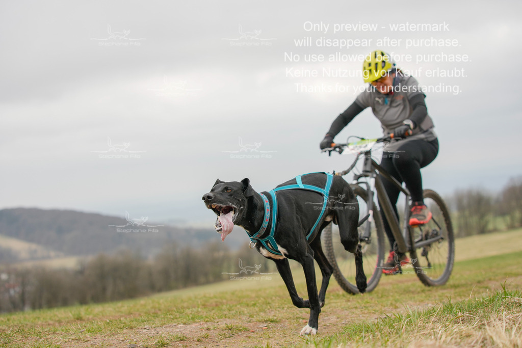 BikeSA-331 | stephaniefillaphotographie - Realisiert mit Pictrs.com