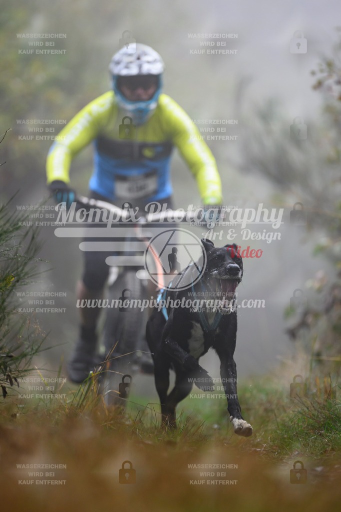 MompixPhotography_20TSB_E4_Bike-95 | PayLife