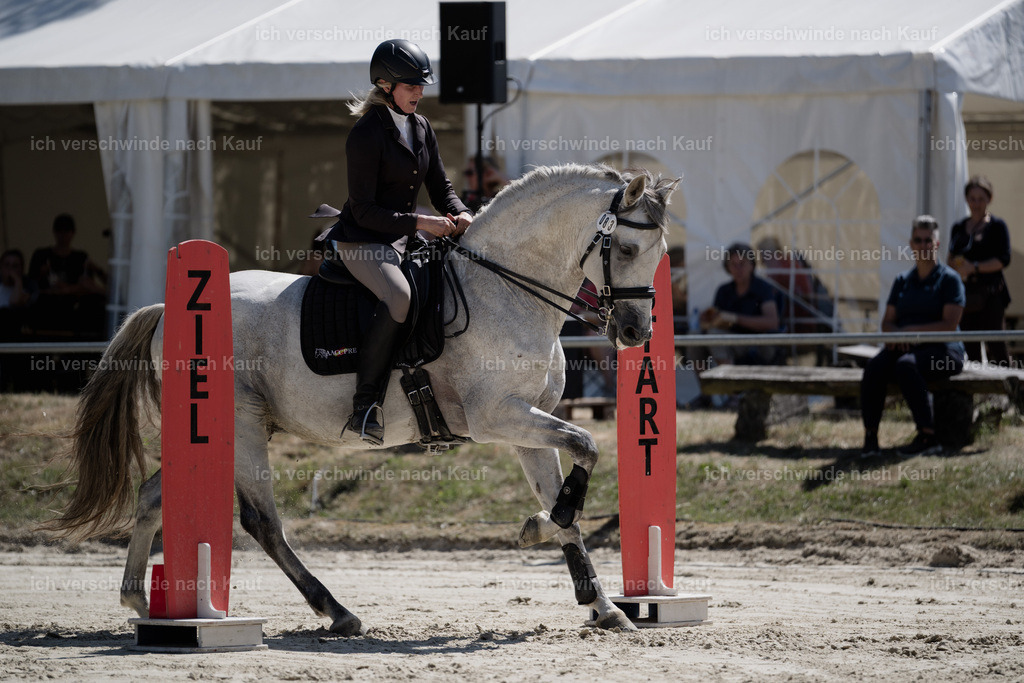 WM_ST_83_stoibphotography__SO11614 | working equitationturnier fotograf videograf stoibphotography marixx film working equitation deutschland reitsport turnierfotografie eventfotografie equestrian events