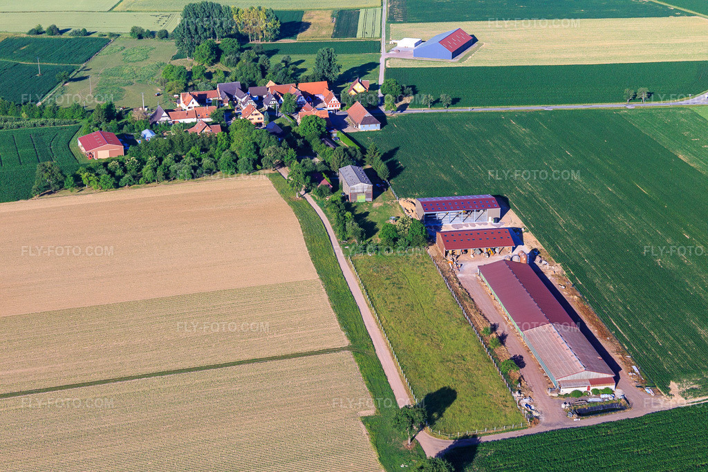 Aerial view: Geitershof district in the district Altenstadt in Wissembourg in the state Bas-Rhin, France.Photo: IMG_100969.jpg taken on 06/17/2017 by Werner Riehm/FLY-FOTO.comResolution of the original: 5472 x 3648 px