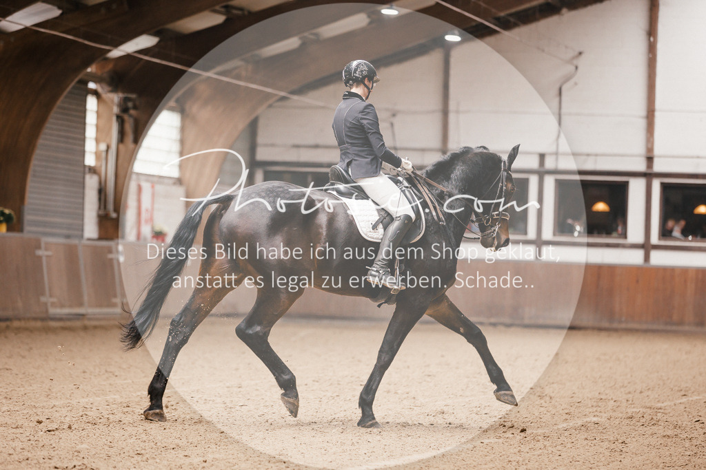 3I6A8225 | Stimmungsvolle Portraits und Reitsportfotografie im Ruhrgebiet und im Münsterland.

Pferdefotografie, Hundefotografie, Tierfotografie, Reportagen, Portraits von Tier und Mensch, Turnierfotografie in Bochum, Recklinghausen, Marl, Haltern am See, Dülmen.. - Realisiert mit Pictrs.com