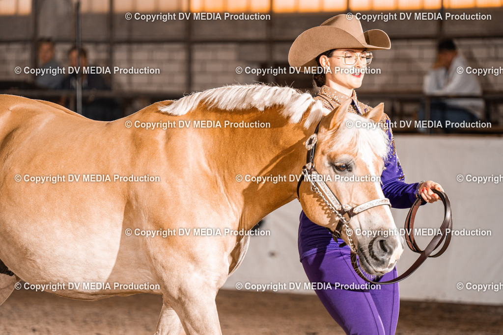 ZH100170 | dv-media-shop - Realisiert mit Pictrs.com