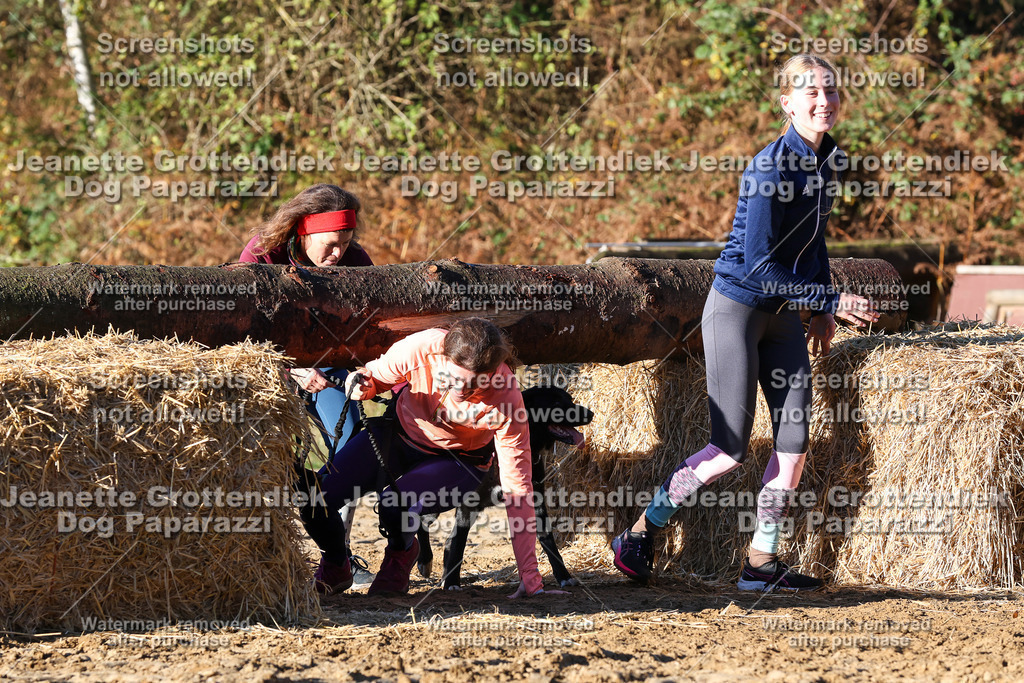 Dog Paparazzi - Strongdog 10-25-1355 | Dog Paparazzi Jeanette Grottendiek Fotografie & Videografie - Realisiert mit Pictrs.com