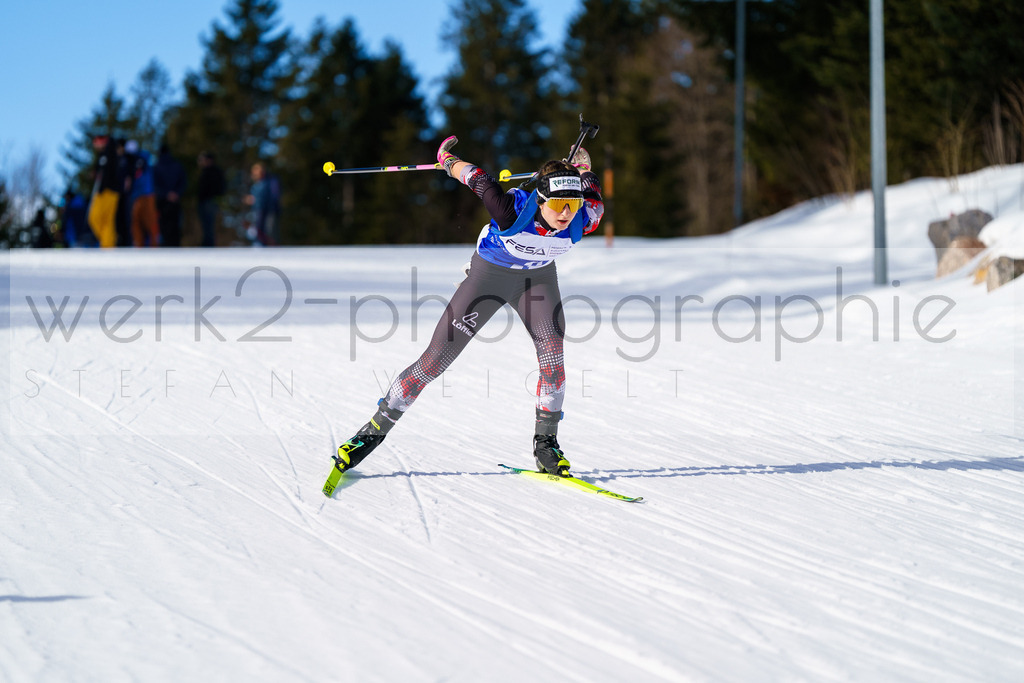 FESA Alpencup / DP Notschrei | Deutschland Pokal Finale im Schwarzwald NORDIC-CENTER Notschrei am 7. - 8. Februar 2026
