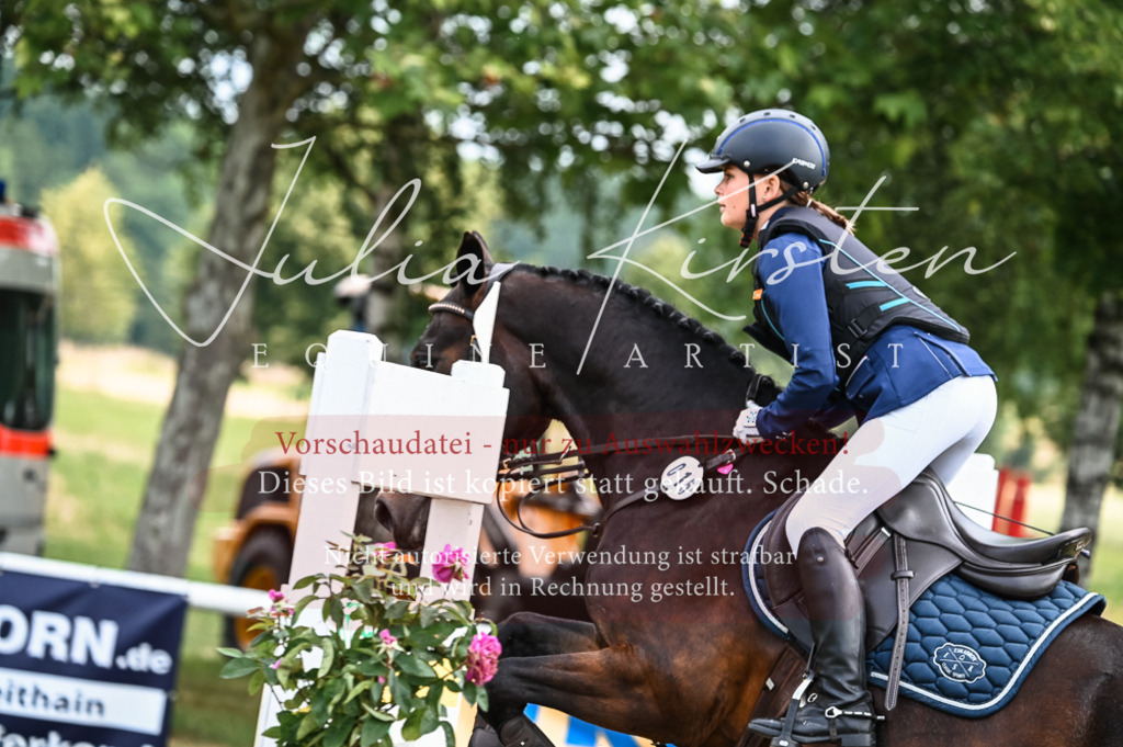 DSC_8230 | Pferde- und Turnierfotografie in Westsachsen. Pferdeportraits, Auftragszeichnungen und intuitive Kunst.