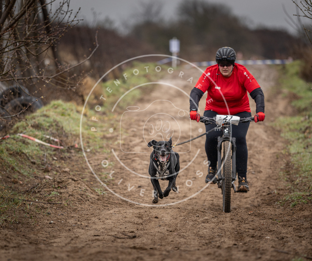 DV3A9025 | Hundefotografie, Tierfotograf, Pfotenfotografie, Fotoshooting Hund, Hunde Portrait, Hundesport, Hundeportraits, Heideshooting, Hunde, Sportfotograf, Hundefotograf, Turnierhundsport, THS,  - Realisiert mit Pictrs.com