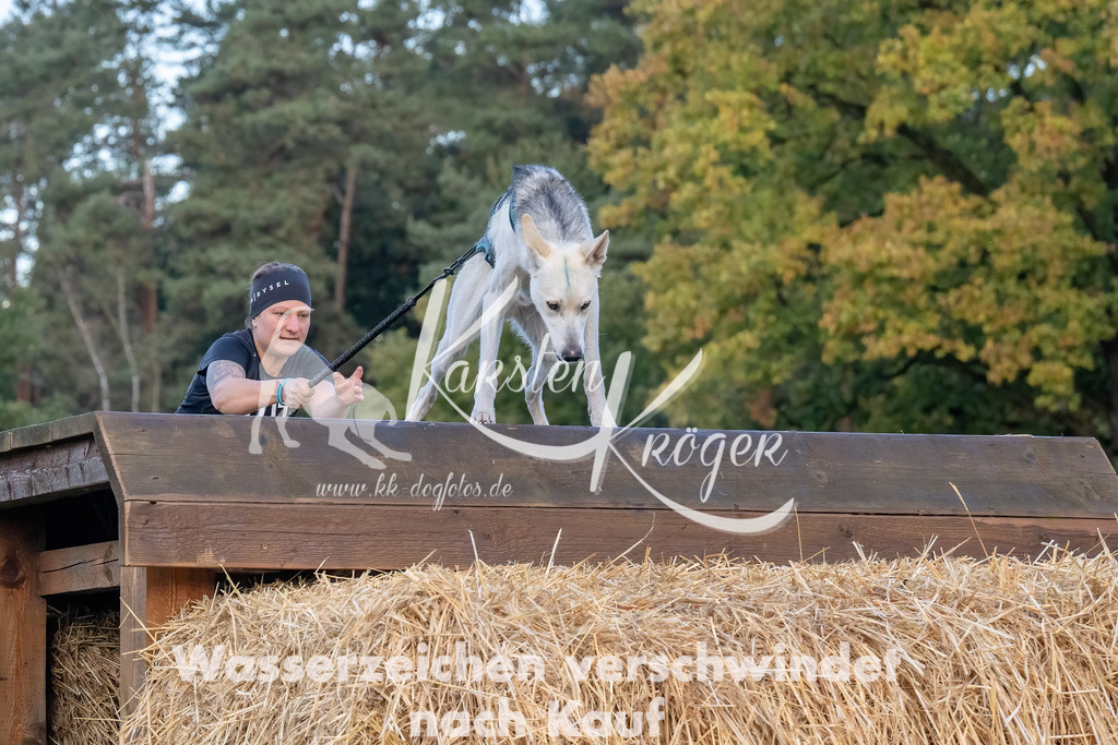 0814_ZZ94953-Bearbeitet | kk-dogfotos