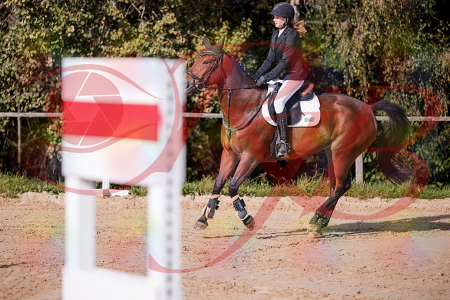2026_10_03_Siefer-Hof_143529_Z81_04092486 | Professionelle Reitsport-, Turnier- und Eventfotografie von Robert Broda. Galerien mit ausgewählten und bearbeiteten Bildern direkt online ansehen und bestellen.