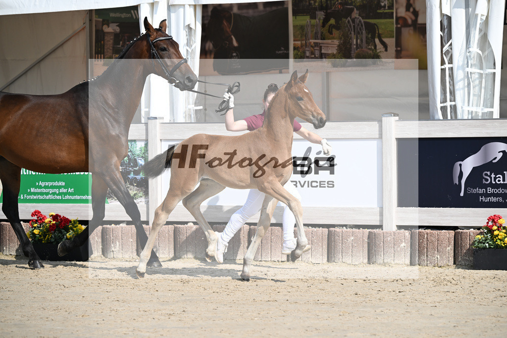 Feliciano x Danone I_SF_Huber_12250106 | hf-fotografie - Realisiert mit Pictrs.com