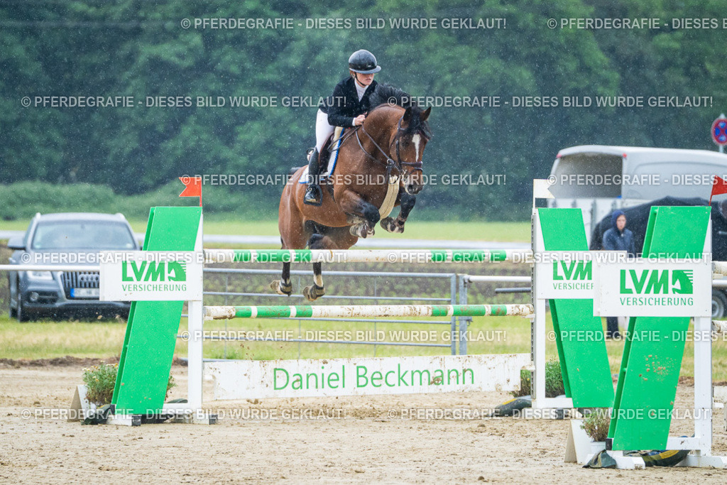 DSC09921 | Pferdegrafie