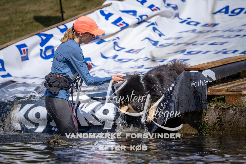 _ZZ934120938 | kk-dogfotos