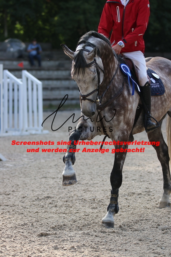 IMG_8758 | lmwpictures - Realisiert mit Pictrs.com