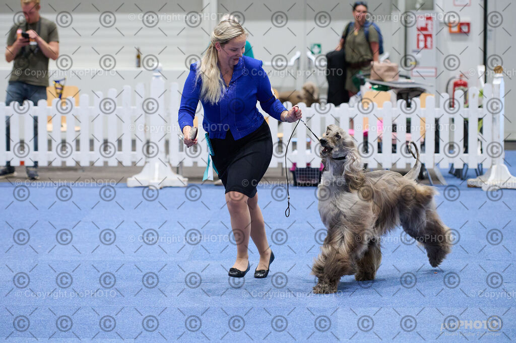 202406_ÖKV-IHA-Tulln24_DSC_3266 | proPHOTO - Realisiert mit Pictrs.com