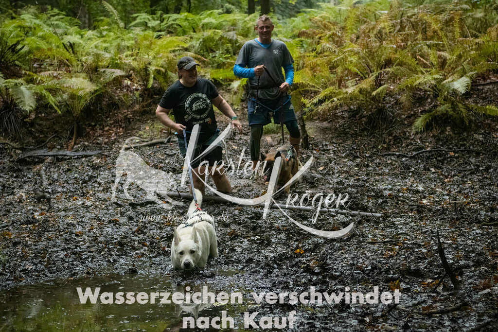 0914_ZZ90114-Bearbeitet | kk-dogfotos