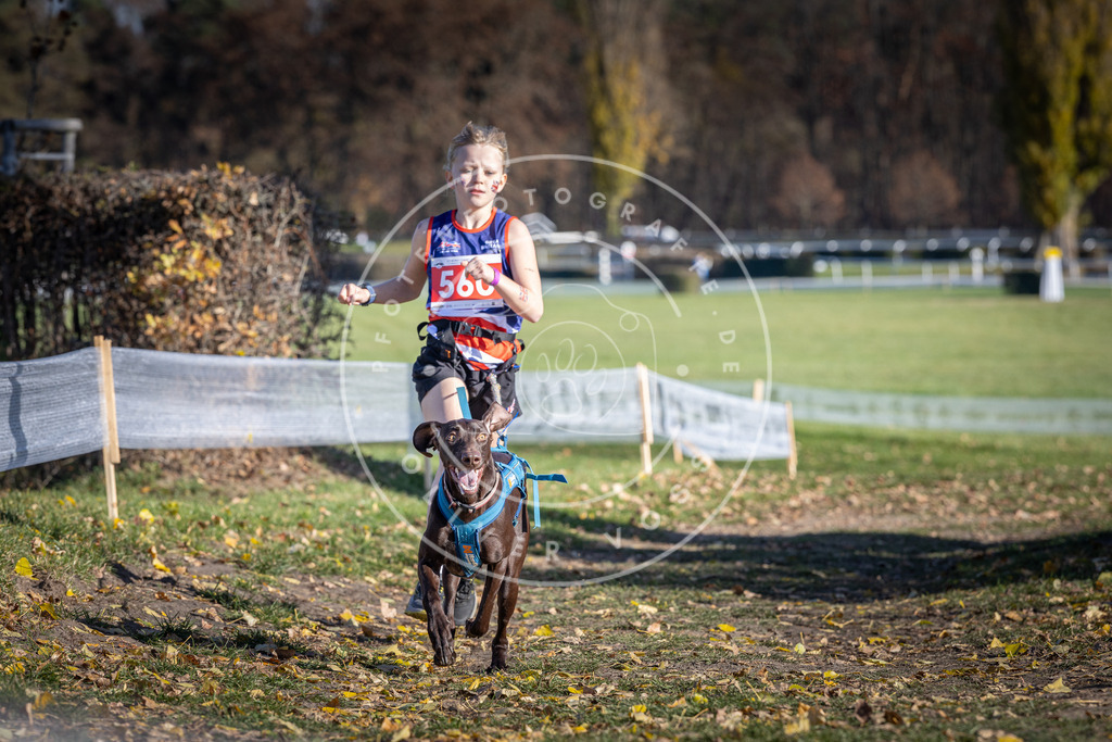 CaniXpix_DV3A8678 | Hundefotografie, Tierfotograf, Pfotenfotografie, Fotoshooting Hund, Hunde Portrait, Hundesport, Hundeportraits, Heideshooting, Hunde, Sportfotograf, Hundefotograf, Turnierhundsport, THS,  - Realisiert mit Pictrs.com