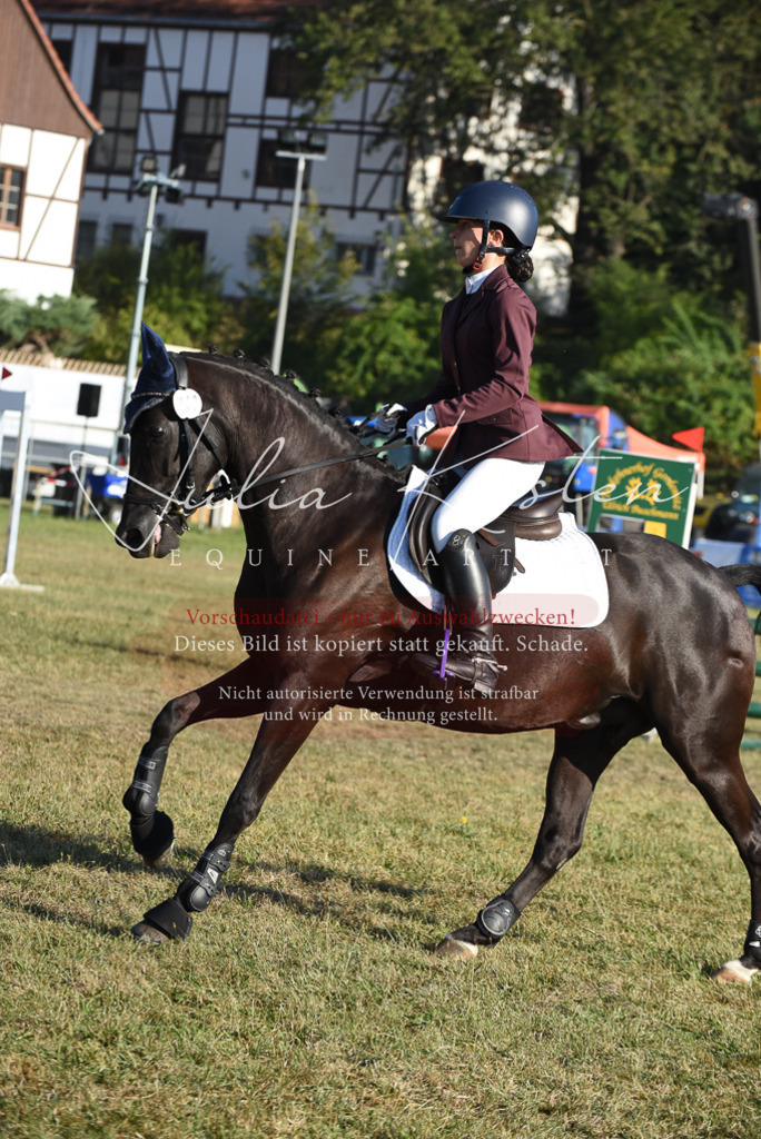 DSC_5084 | Pferde- und Turnierfotografie in Westsachsen. Pferdeportraits, Auftragszeichnungen und intuitive Kunst.