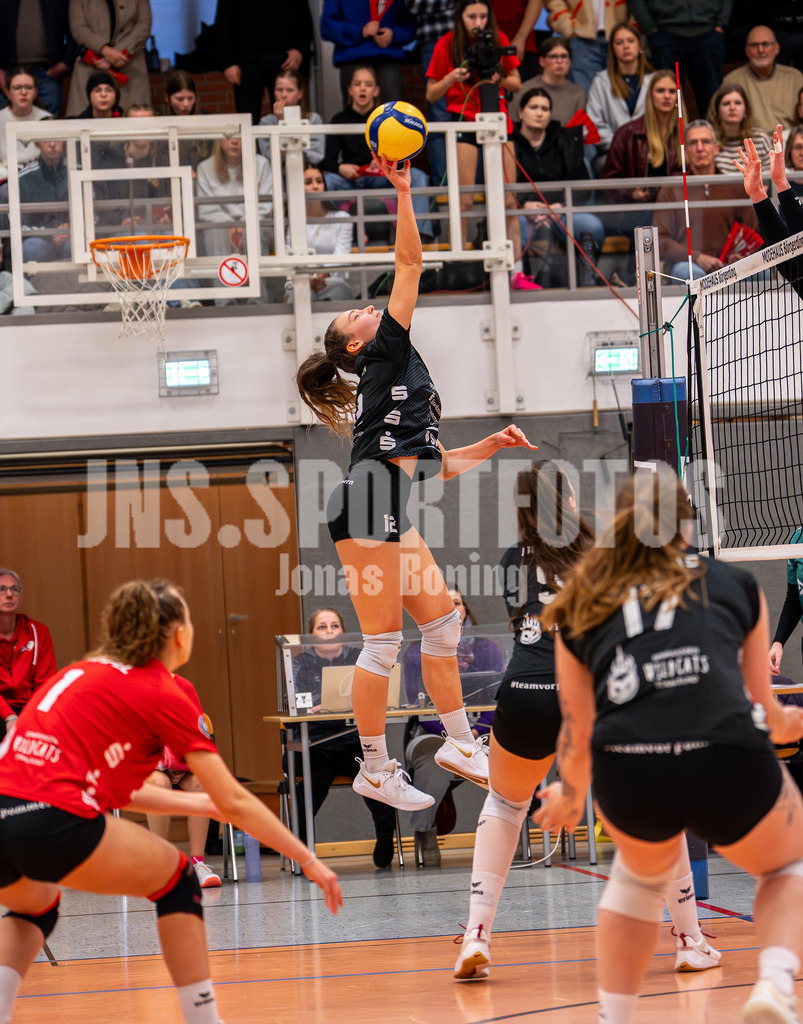 Volleyball I Frauen I Saison 2025-2026 I 2 Bundesliga Pro I 17. Spieltag VFL Oythe - VC Stralsund I 1722 | Tara Fröhlich (12,VC Stralsund) - Realisiert mit Pictrs.com