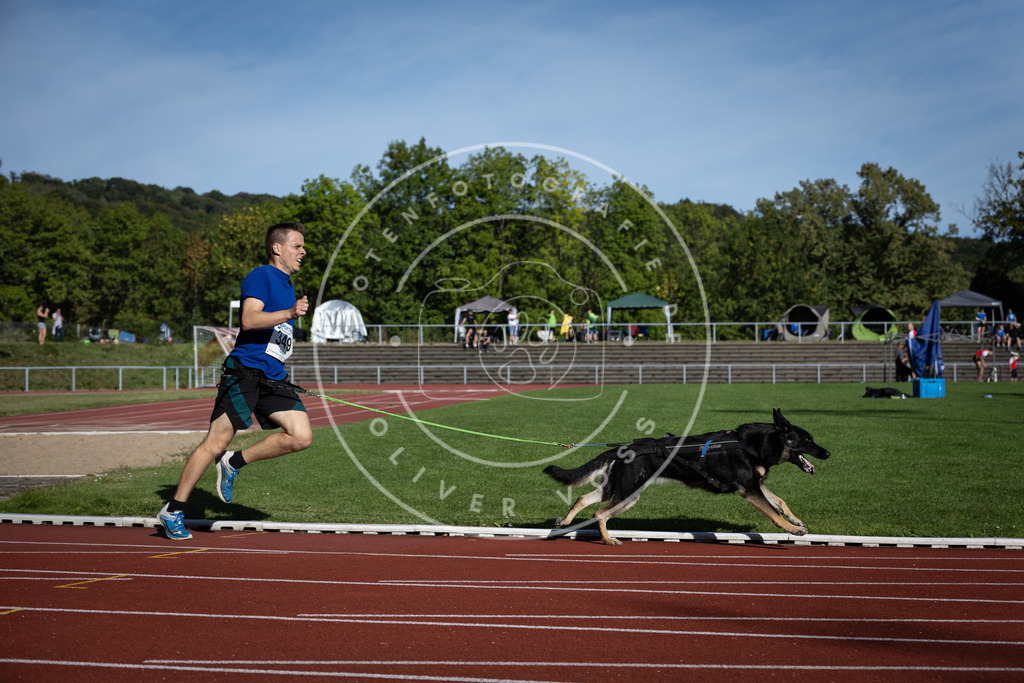 Pfotenfotografie_DV3A9182 | Hundefotografie, Tierfotograf, Pfotenfotografie, Fotoshooting Hund, Hunde Portrait, Hundesport, Hundeportraits, Heideshooting, Hunde, Sportfotograf, Hundefotograf, Turnierhundsport, THS,  - Realisiert mit Pictrs.com