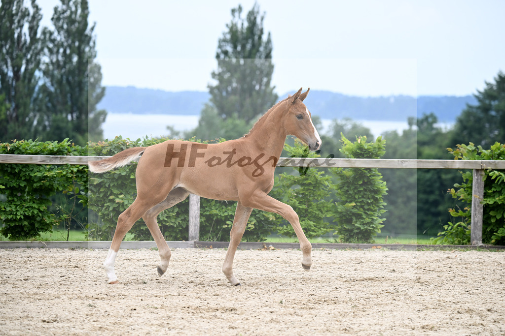 Kat-Nr. 7 Extreme U.S. x Destano_SF_Butolo u Reininger_14250417 | hf-fotografie - Realizzato con Pictrs.com