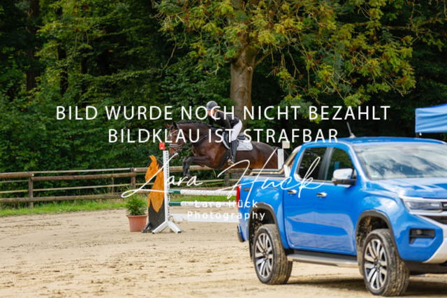 _62_9135 | larahueckfotografie