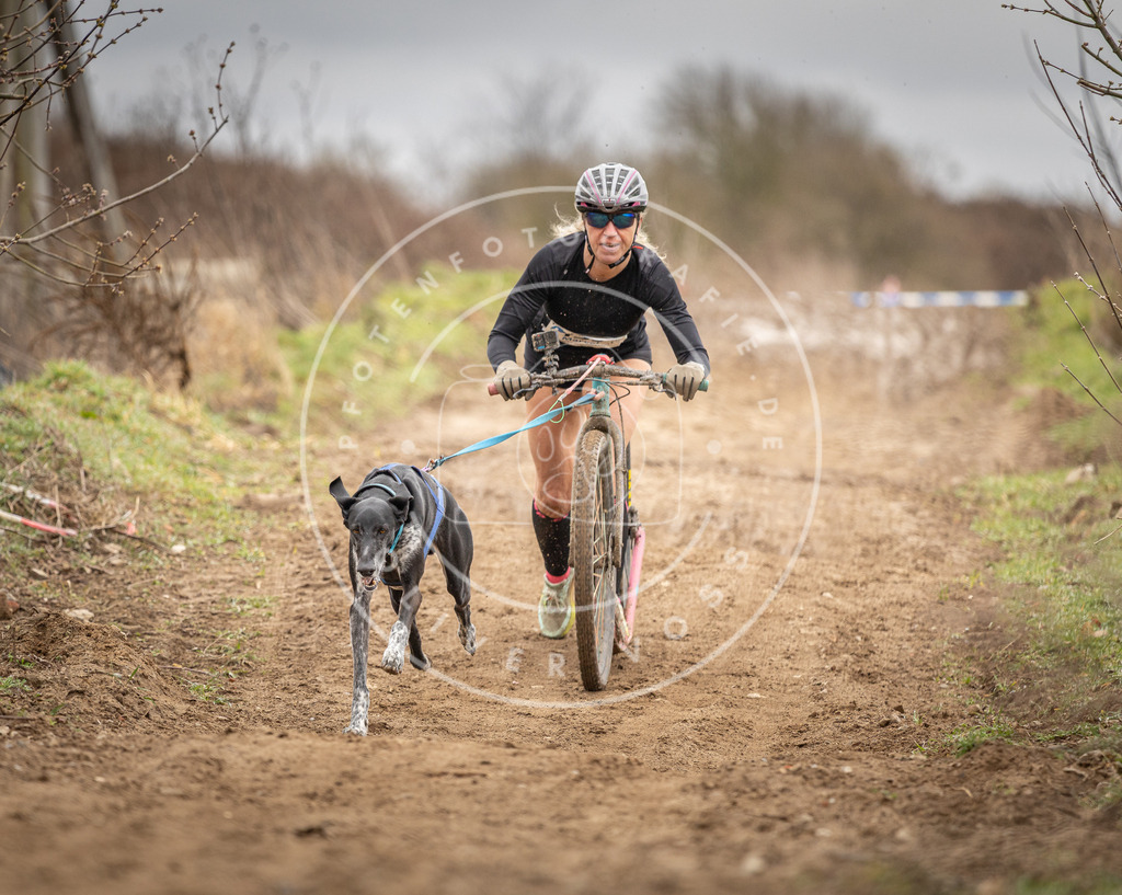 DV3A1712 | Hundefotografie, Tierfotograf, Pfotenfotografie, Fotoshooting Hund, Hunde Portrait, Hundesport, Hundeportraits, Heideshooting, Hunde, Sportfotograf, Hundefotograf, Turnierhundsport, THS,  - Realisiert mit Pictrs.com