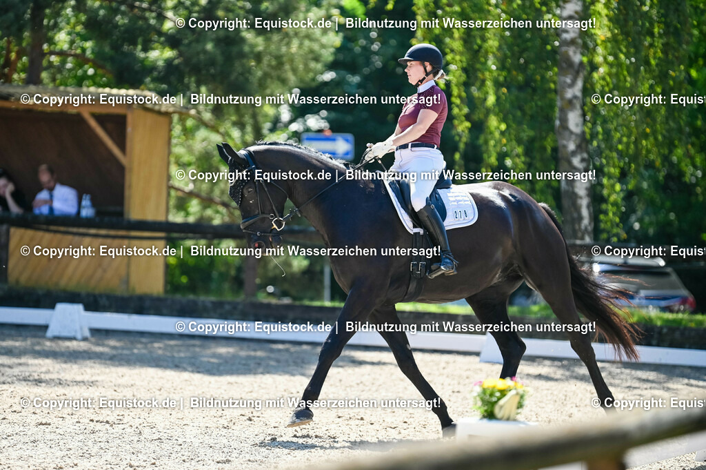 20230908_06_Dressur-L-Trense_0745 | equistock