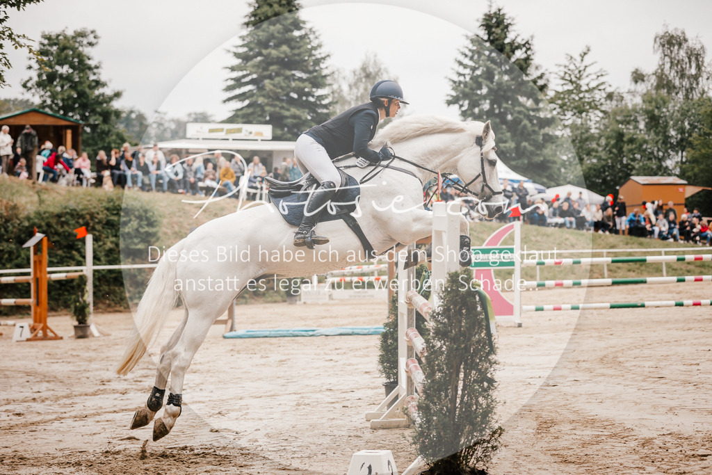 3I6A2082 | Stimmungsvolle Portraits und Reitsportfotografie im Ruhrgebiet und im Münsterland.

Pferdefotografie, Hundefotografie, Tierfotografie, Reportagen, Portraits von Tier und Mensch, Turnierfotografie in Bochum, Recklinghausen, Marl, Haltern am See, Dülmen.. - Realisiert mit Pictrs.com