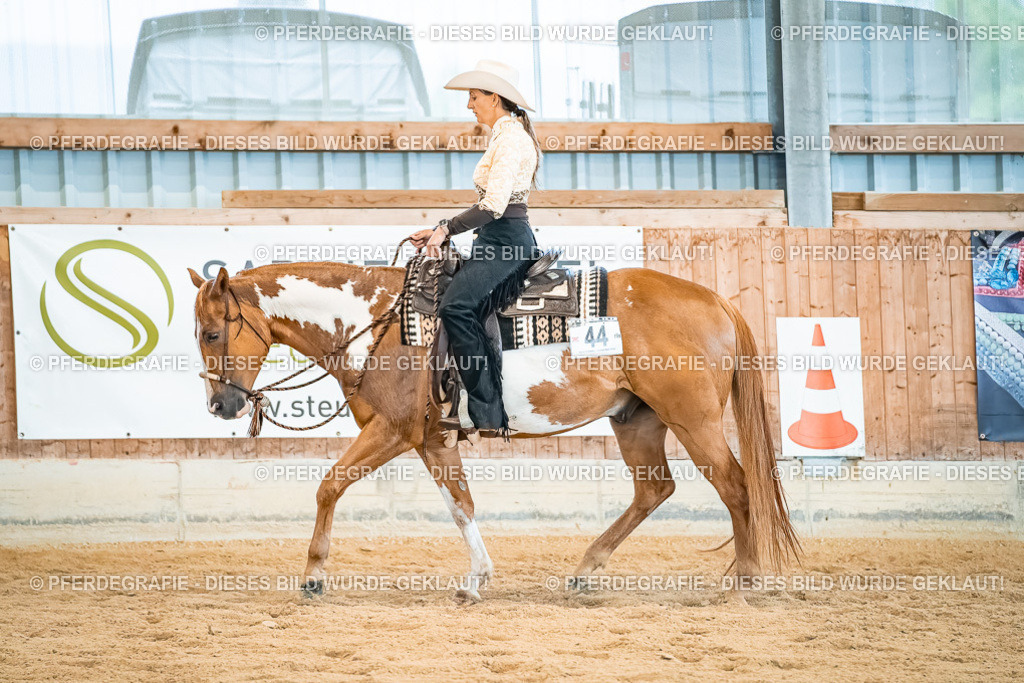 DSC00454 | Pferdegrafie