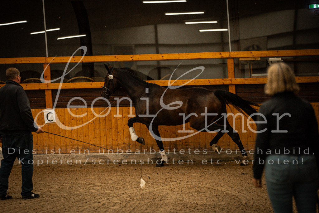 1FS_L00003 | Leoni Ertmer Photography - Realisiert mit Pictrs.com