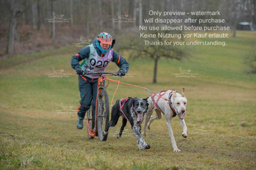 Sa_Scooter2-50 | stephaniefillaphotographie - Realisiert mit Pictrs.com