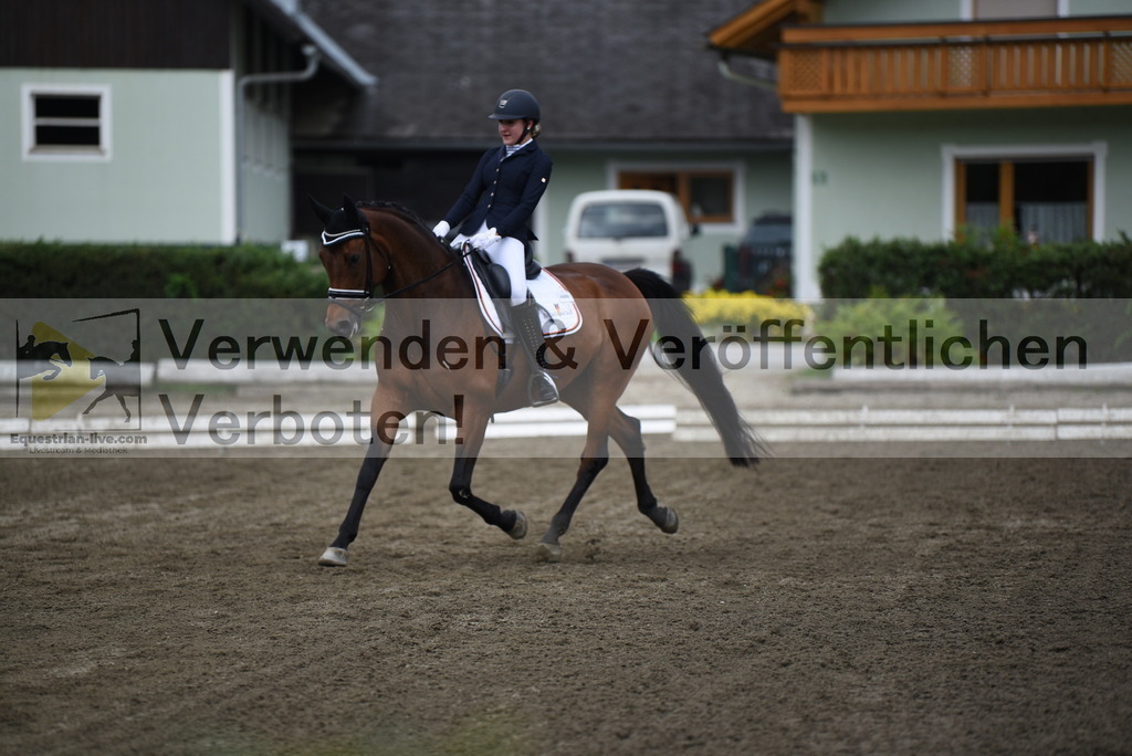 DSC_4263 | equestrian-live-com