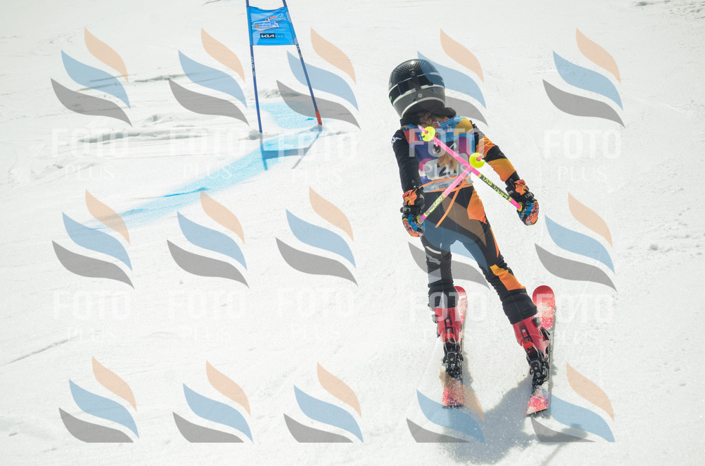 _ELE4833 | holidayphoto