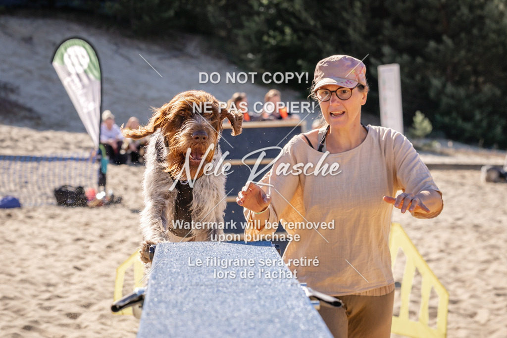 NR__0499 | nelerasche