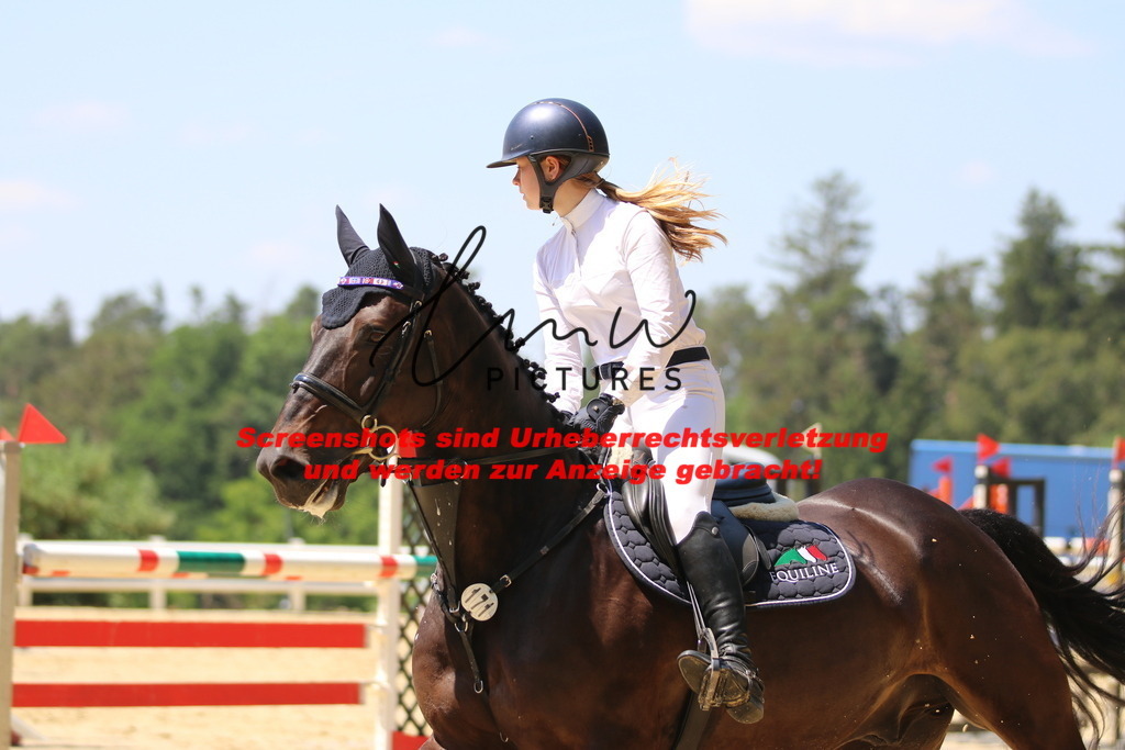 IMG_2419 | lmwpictures - Realisiert mit Pictrs.com