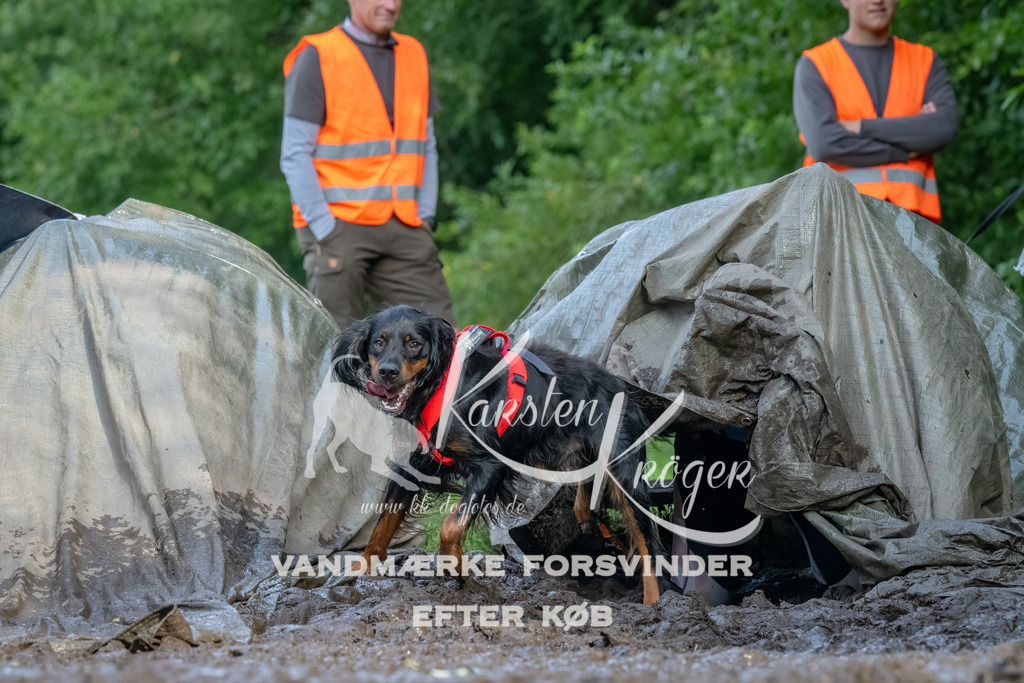 1730_ZZ92361-Bearbeitet | kk-dogfotos