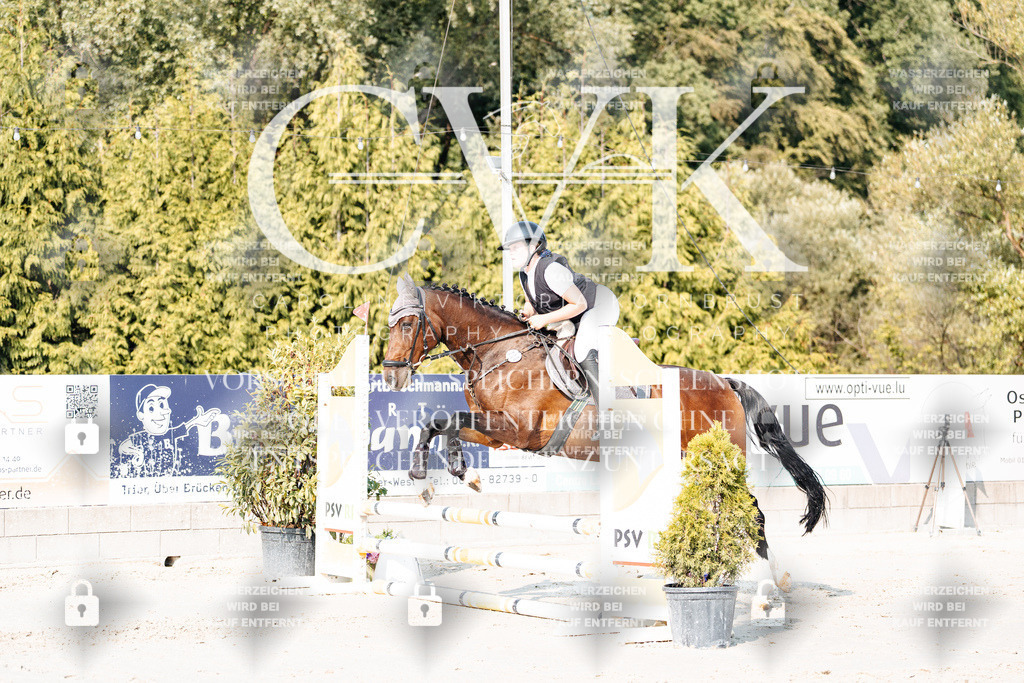 CK902873 | Turnierfotografie Pferdefotografie Trier Rheinland-Pfalz Pferdesport Reitsport Tierfotografie Sportfotografie Pferdevideo Pferdevideografie Equestrianvideography equestrianphotography  - Realisiert mit Pictrs.com