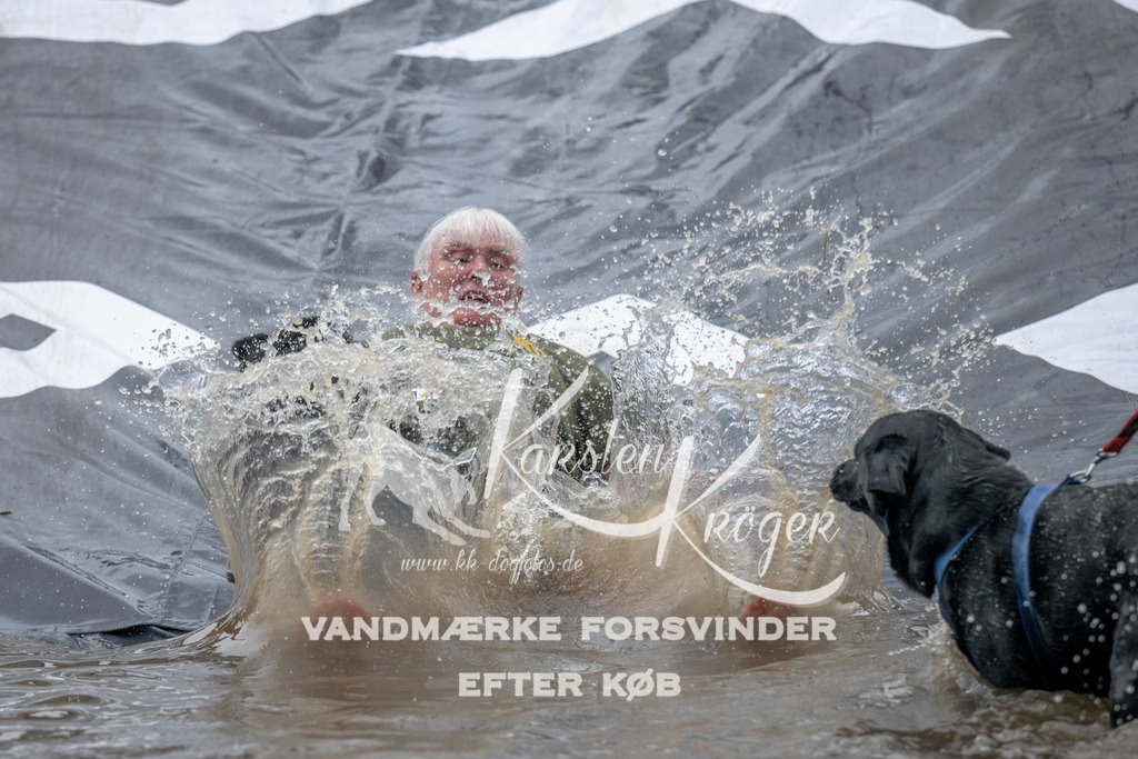 1538_ZZ94550 | kk-dogfotos