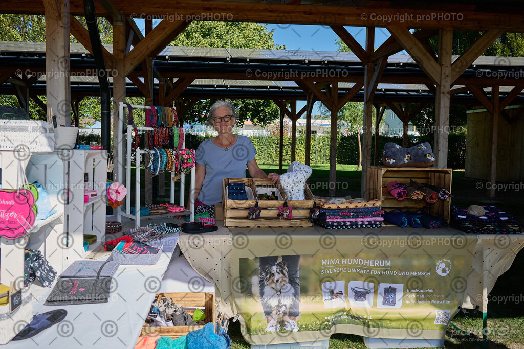 002_202509_4Hundebadetag_NZ9_2060 | proPHOTO - Realisiert mit Pictrs.com