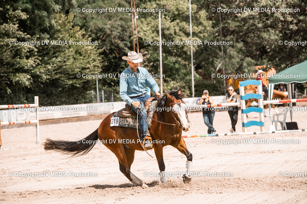 ZS3_0016 | dv-media-shop - Realisiert mit Pictrs.com