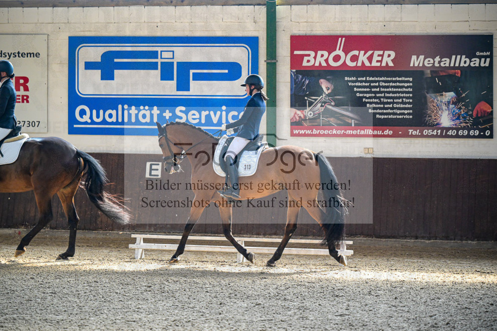 Reitturnier Voxtrup | Entdecke hochwertige Reitturnierfotos von Foto Oger. Professionell, emotional und authentisch – jetzt Lieblingsmomente im Shop bestellen.Deutschlandweite Turnierfotografie. - Realisiert mit Pictrs.com