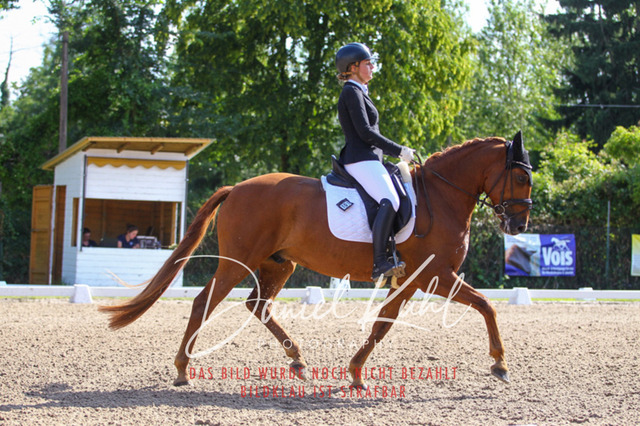 DKP42895 | Turniersportfotografie; Pferdefotografie; Dressurfotografie