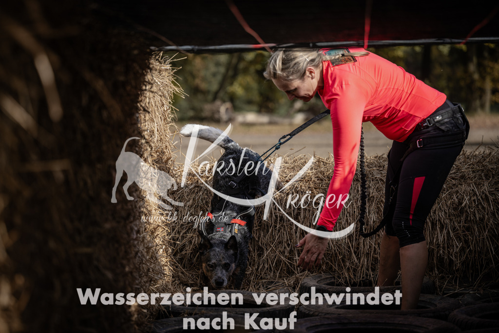 1215_ZZ93788 | kk-dogfotos