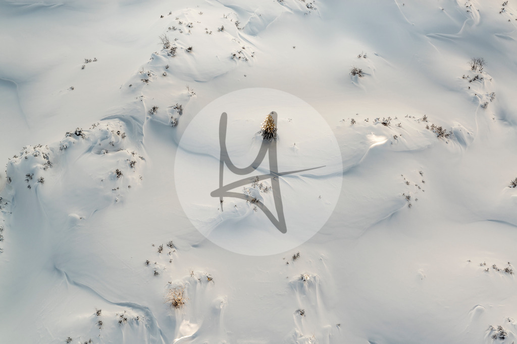 DSC_9886 1 | Meurer Shop - Realisiert mit Pictrs.com