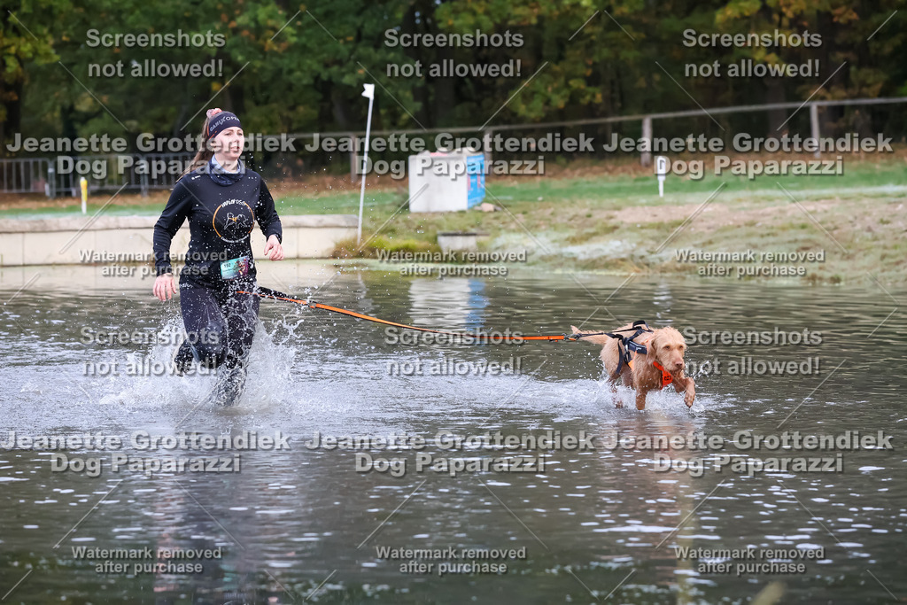 Dog Paparazzi - Strongdog 10-25-6226 | Dog Paparazzi Jeanette Grottendiek Fotografie & Videografie - Realisiert mit Pictrs.com