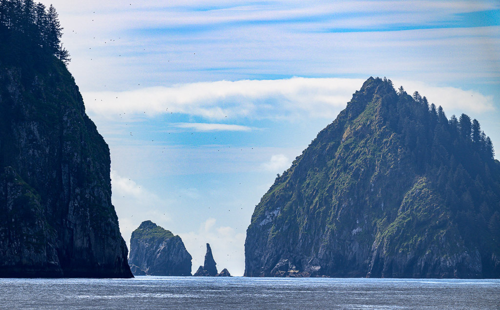 Alaska | Kenai Fjords National Park Cruise. - Realisiert mit Pictrs.com