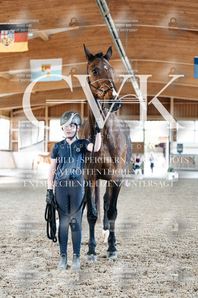 CK905738 | Turnierfotografie Pferdefotografie Trier Rheinland-Pfalz Pferdesport Reitsport Tierfotografie Sportfotografie Pferdevideo Pferdevideografie Equestrianvideography equestrianphotography  - Realisiert mit Pictrs.com