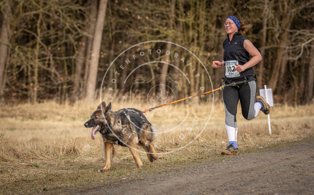 DV3A4079 | Hundefotografie, Tierfotograf, Pfotenfotografie, Fotoshooting Hund, Hunde Portrait, Hundesport, Hundeportraits, Heideshooting, Hunde, Sportfotograf, Hundefotograf, Turnierhundsport, THS,  - Realisiert mit Pictrs.com